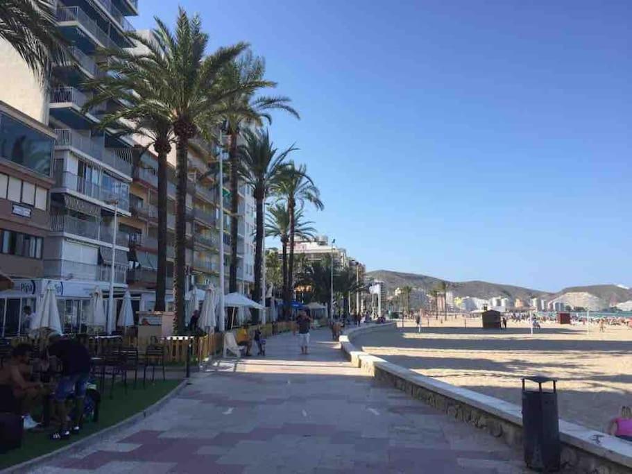 New Stylish Beach Front Apartment Cullera Exterior photo
